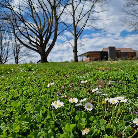 Tavio Mobile House Kolpa, Big Berry, Holiday home Metlika