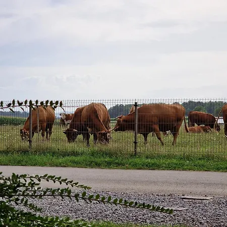 Tavio Mobile House Kolpa, Big Berry, * Metlika