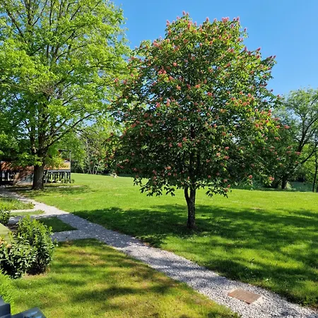 Tavio Mobile House Kolpa, Big Berry,