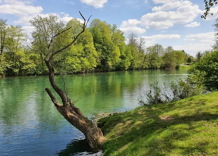 別荘 Tavio Mobile House Kolpa, Big Berry, メトリカ