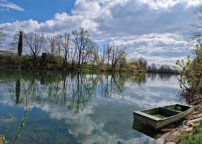 Tavio Mobile House Kolpa, Big Berry, メトリカ