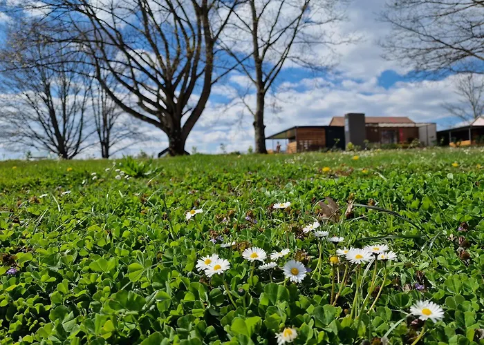 Tavio Mobile House Kolpa, Big Berry, Feriehus Metlika