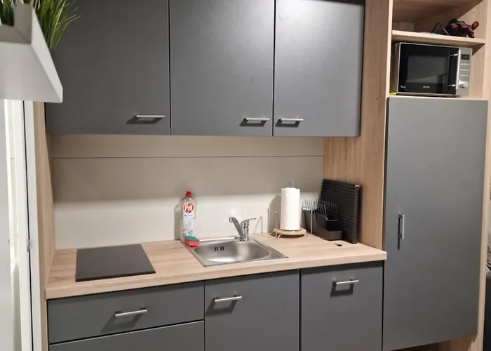 Tavio Mobile House Kolpa, Big Berry, Metlika