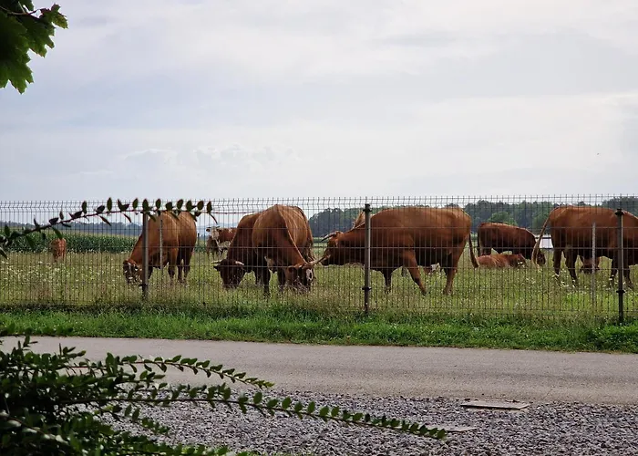 Tavio Mobile House Kolpa, Big Berry, * Metlika