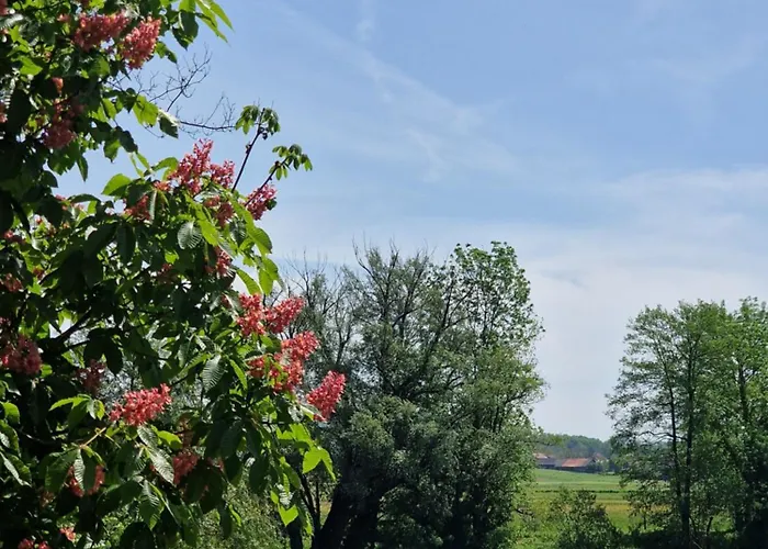 Tavio Mobile House Kolpa, Big Berry, Feriehus Metlika