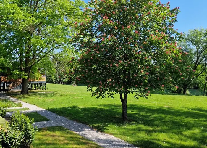 Tavio Mobile House Kolpa, Big Berry,